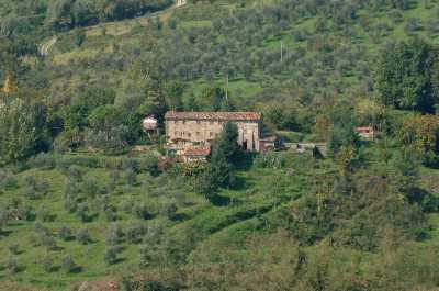 Rustico Casale Corte in Vendita a Lucca Colline